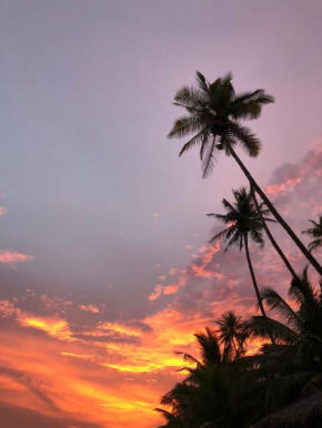 The Coconut Hut